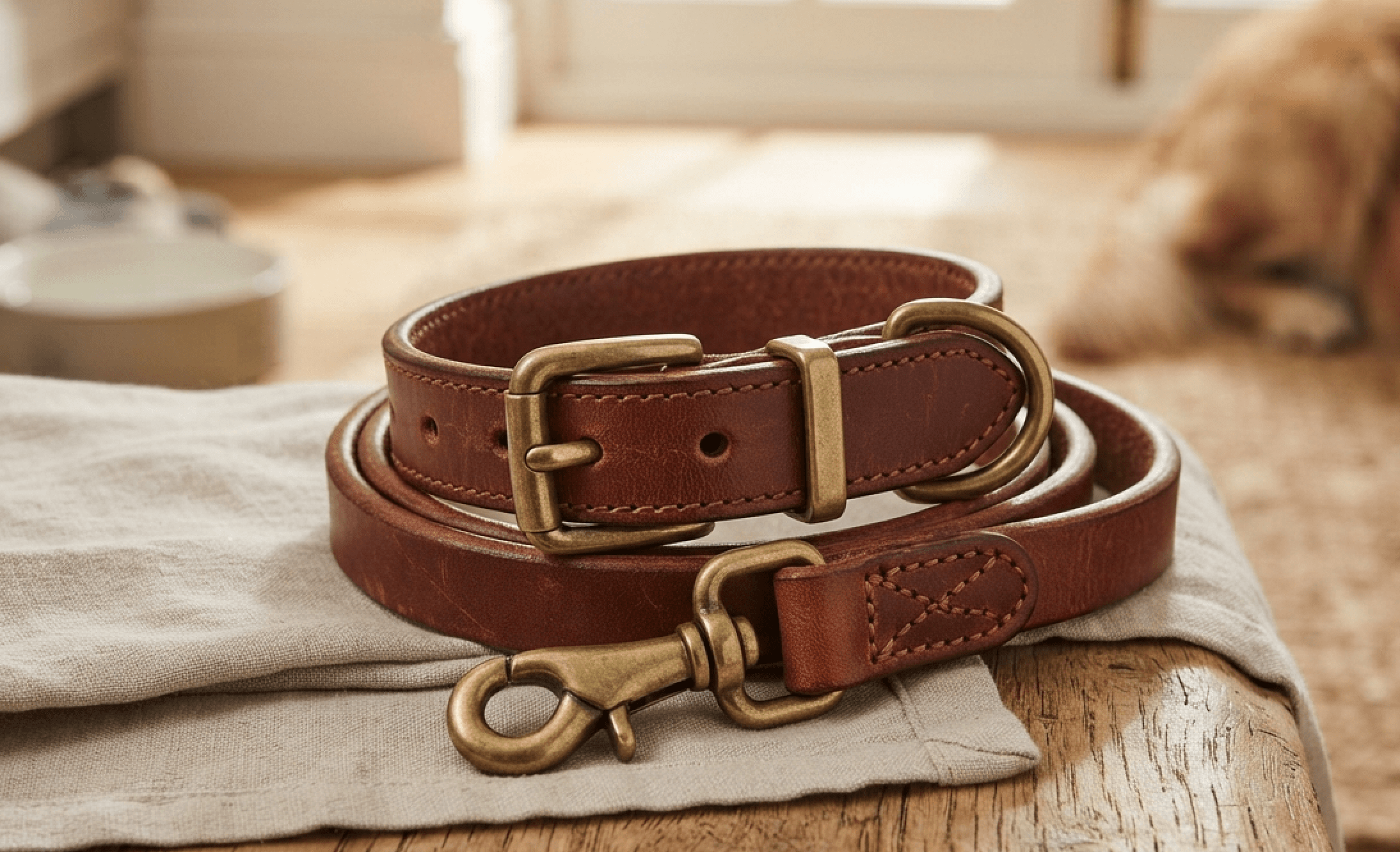Close-up of a brown leather dog collar and lead with solid brass hardware.